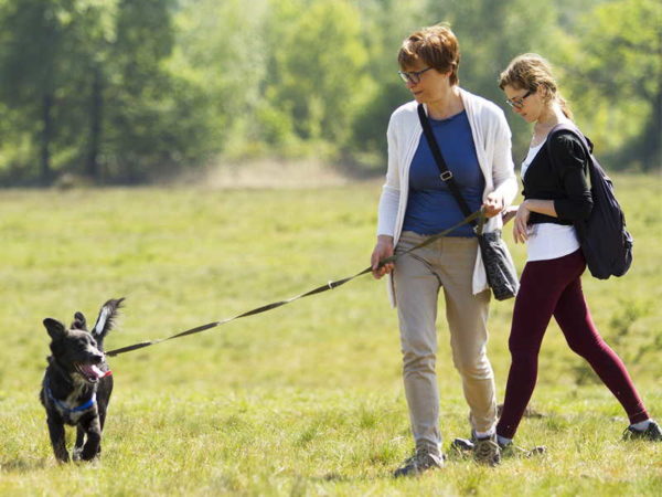 Cucciolo con proprietaria in passeggiata a Borriana
